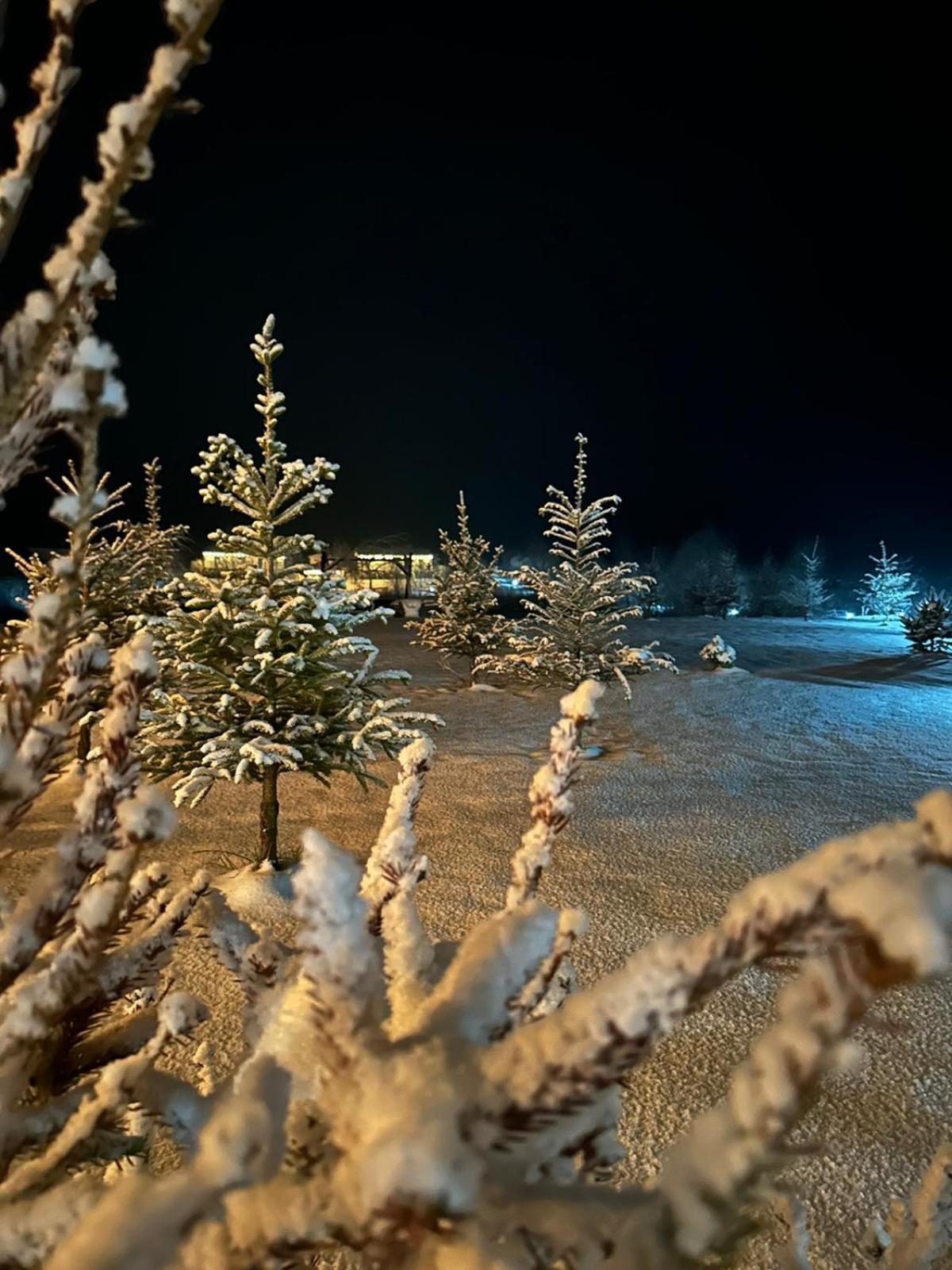 Domki Nad Sanem Bachorzec Dubiecko ภายนอก รูปภาพ