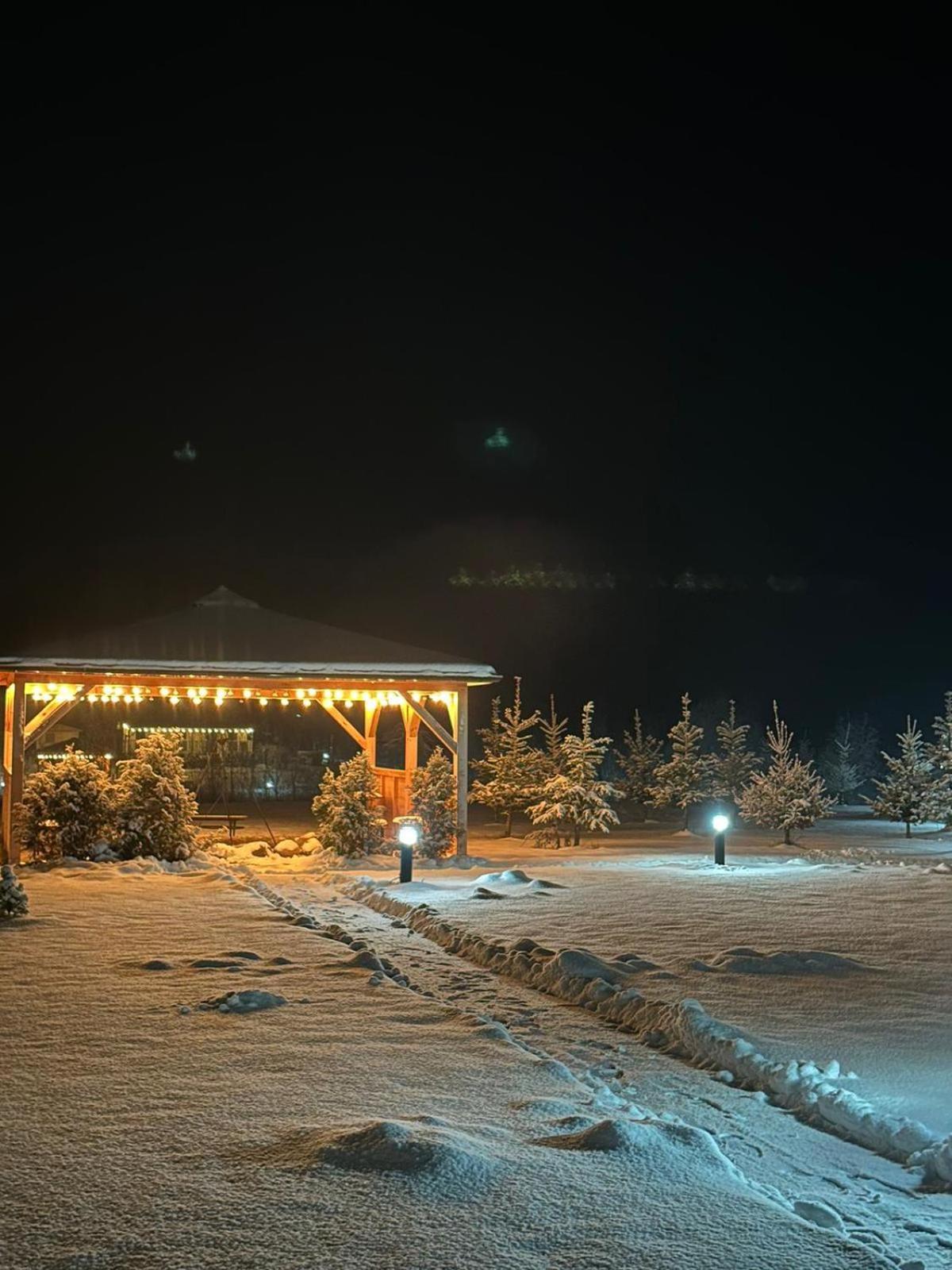 Domki Nad Sanem Bachorzec Dubiecko ภายนอก รูปภาพ